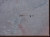 coster3.jpg