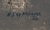 iddy14.jpg
